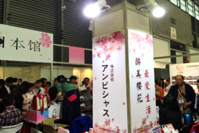 展示